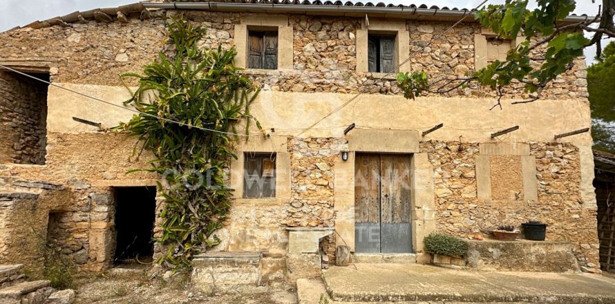 House in Arta, Mallorca, Spain 5 bedrooms, 501 sq.m. No. 160066