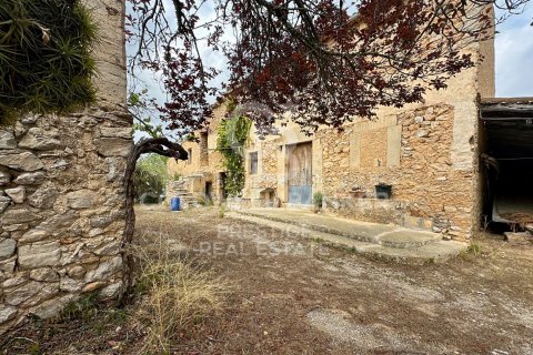 House for sale in Arta, Mallorca, Spain 5 bedrooms, 501 sq.m. No. 160066 - photo 4