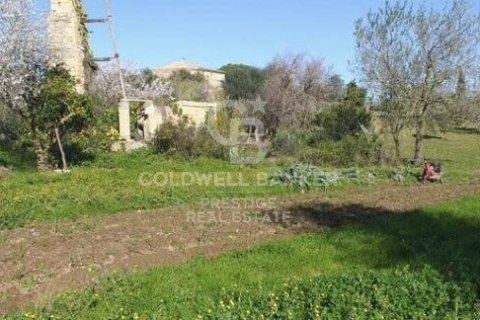 House for sale in Arta, Mallorca, Spain 5 bedrooms, 501 sq.m. No. 160066 - photo 21