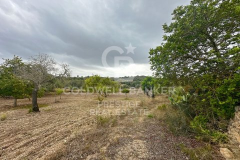 House for sale in Arta, Mallorca, Spain 5 bedrooms, 501 sq.m. No. 160066 - photo 15