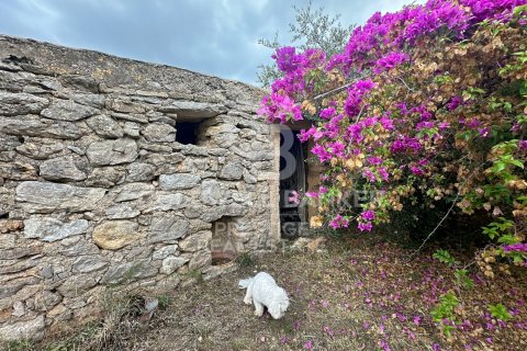 House for sale in Arta, Mallorca, Spain 5 bedrooms, 501 sq.m. No. 160066 - photo 3