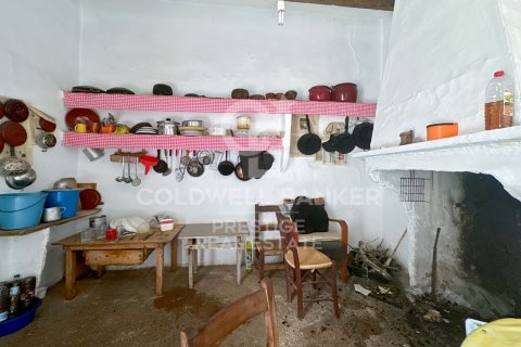 Dom w Arta, Mallorca, Hiszpania 5 sypialni, 501 mkw. nr 160066 – zdjęcie 16