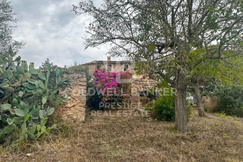 House for sale in Arta, Mallorca, Spain 5 bedrooms, 501 sq.m. No. 160066 - photo 18