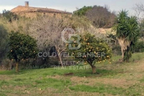 House for sale in Arta, Mallorca, Spain 5 bedrooms, 501 sq.m. No. 160066 - photo 30