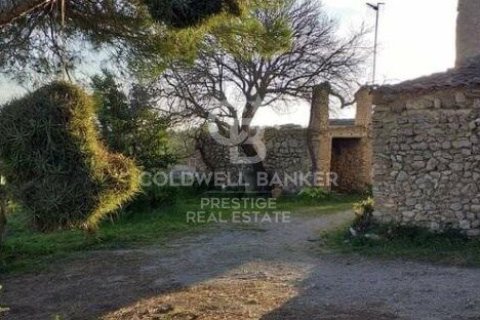 House for sale in Arta, Mallorca, Spain 5 bedrooms, 501 sq.m. No. 160066 - photo 25
