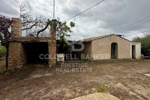 House for sale in Arta, Mallorca, Spain 5 bedrooms, 501 sq.m. No. 160066 - photo 16