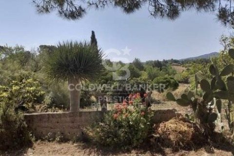 House for sale in Arta, Mallorca, Spain 5 bedrooms, 501 sq.m. No. 160066 - photo 23