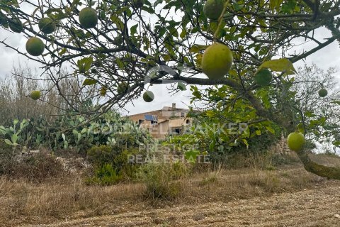 House for sale in Arta, Mallorca, Spain 5 bedrooms, 501 sq.m. No. 160066 - photo 9