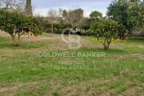 House for sale in Arta, Mallorca, Spain 5 bedrooms, 501 sq.m. No. 160066 - photo 26