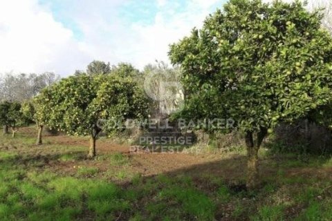House for sale in Arta, Mallorca, Spain 5 bedrooms, 501 sq.m. No. 160066 - photo 29