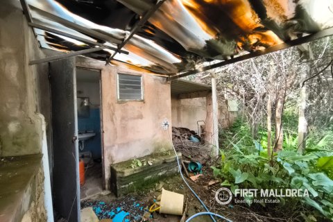 Продажа таухауса в Ллукмайор, Майорка, Испания 3 спальни, 181м2 №166080 - фото 10