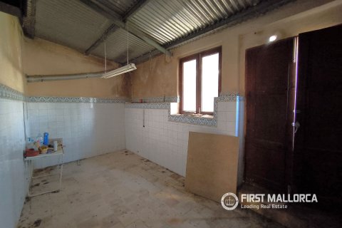 Продажа таухауса в Ллукмайор, Майорка, Испания 3 спальни, 181м2 №166080 - фото 5