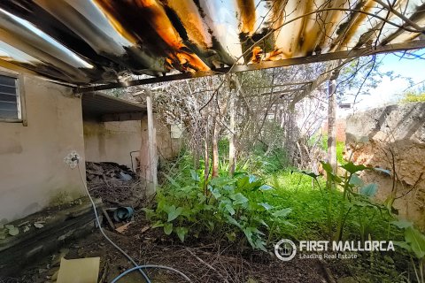 Продажа таухауса в Ллукмайор, Майорка, Испания 3 спальни, 181м2 №166080 - фото 11