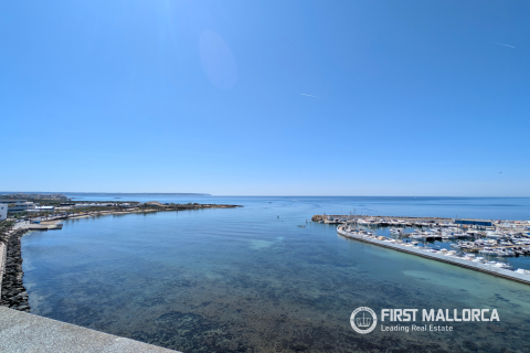 Penthouse à vendre à Palma de Majorca, Mallorca, Espagne, 2 chambres, 177 m2 No. 166081 - photo 3