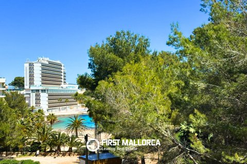 Apartment à Cala Vinyes, Mallorca, Espagne 2 chambres, 124 m2 No. 166079