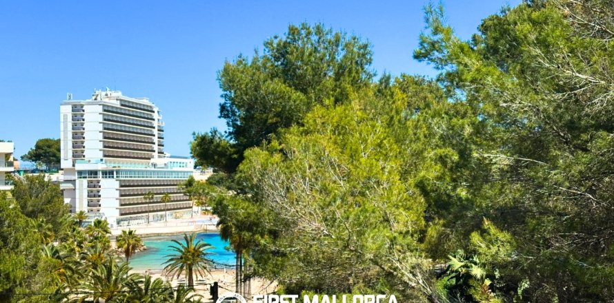 Apartment à Cala Vinyes, Mallorca, Espagne 2 chambres, 124 m2 No. 166079