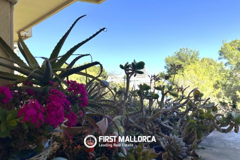 Apartment à vendre à Cala Vinyes, Mallorca, Espagne, 2 chambres, 124 m2 No. 166079 - photo 14