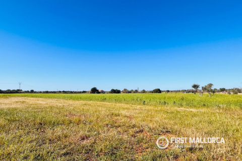 Tontti myytävänä L'Horta De Pollenca, Mallorca, Espanja , 19266 m2 No. 166082 - kuva 2