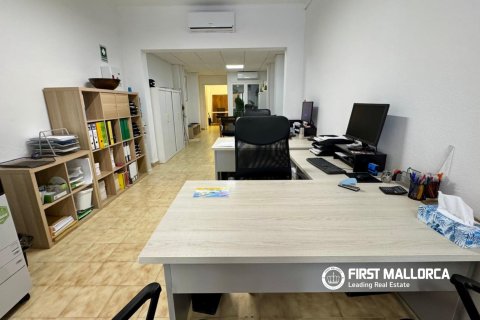 Lokal usługowy w Pollenca, Mallorca, Hiszpania 60 mkw. nr 183522 – zdjęcie 5