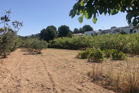 Działka w Calpe, Alicante, Hiszpania 2800 mkw. nr 183516 – zdjęcie 14