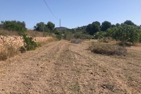 Działka w Calpe, Alicante, Hiszpania 2800 mkw. nr 183516 – zdjęcie 4