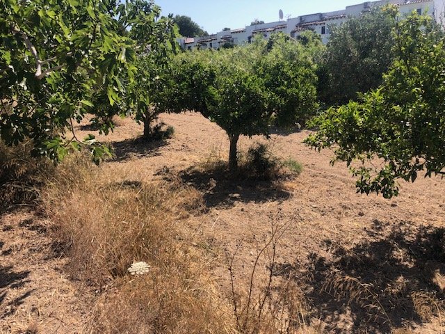 Parcela en Calpe, Alicante, España 2800 m2 No. 183516