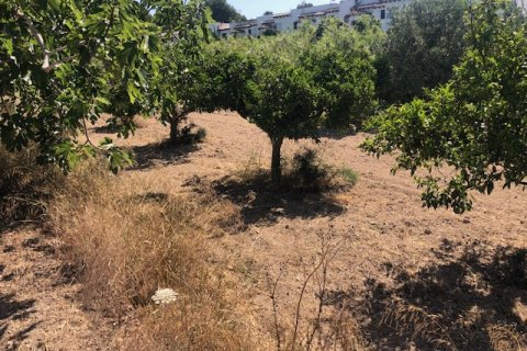 Działka w Calpe, Alicante, Hiszpania 2800 mkw. nr 183516 – zdjęcie 7