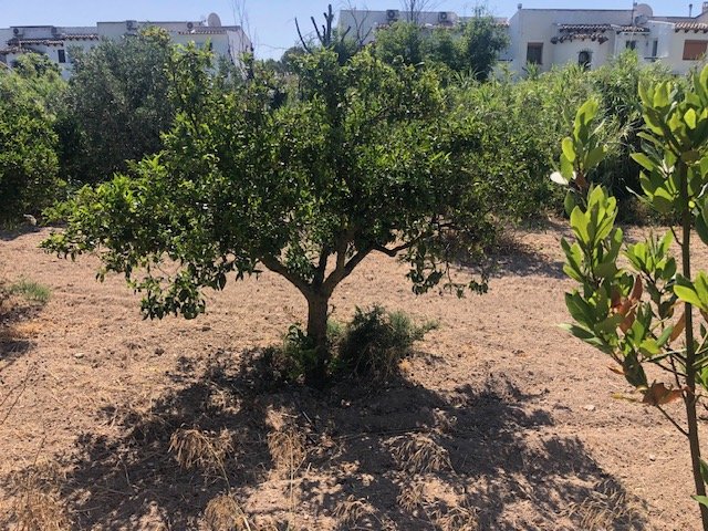 Parcela en Calpe, Alicante, España 2800 m2 No. 183516