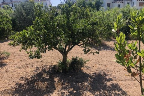 Działka w Calpe, Alicante, Hiszpania 2800 mkw. nr 183516 – zdjęcie 8