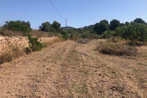 Działka w Calpe, Alicante, Hiszpania 2800 mkw. nr 183516 – zdjęcie 5