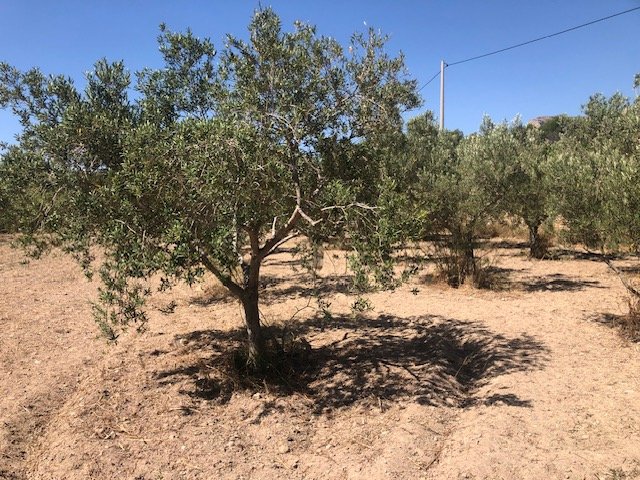 Parcela en Calpe, Alicante, España 2800 m2 No. 183516