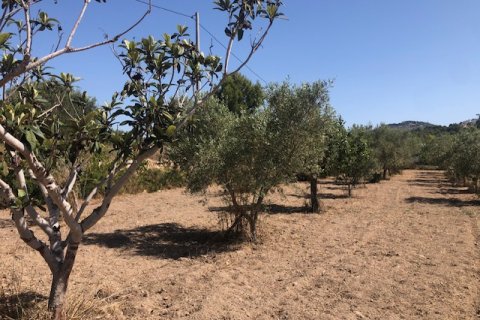 Działka w Calpe, Alicante, Hiszpania 2800 mkw. nr 183516 – zdjęcie 9