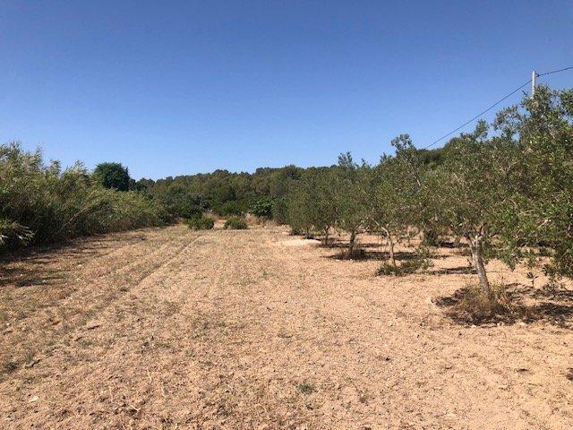 Parcela en Calpe, Alicante, España 2800 m2 No. 183516