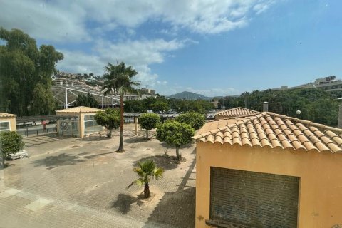 Propiedad comercial en venta en Santa Ponsa, Mallorca, España 643 m2 No. 160926 - foto 3