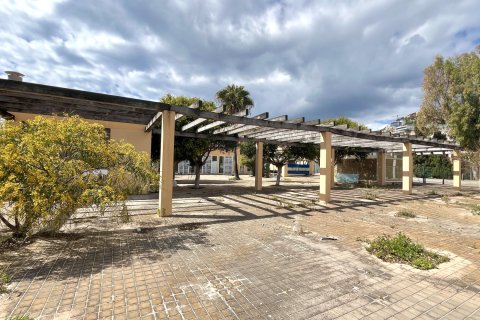 Proprietà commerciale in vendita a Santa Ponsa, Mallorca, Spagna 643 mq. N° 160926 - foto 3