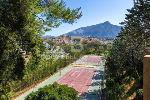 Apartment à vendre à Marbella, Malaga, Espagne, 3 chambres, 217 m2 No. 178563 - photo 29