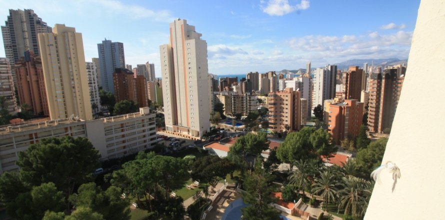 Apartment in Rincon De Loix, Alicante, Spain 1 room, No. 183544