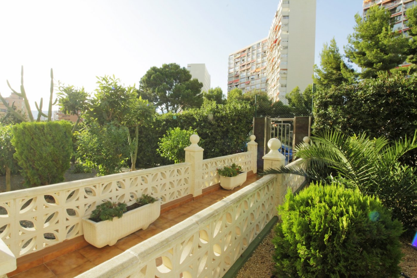 Apartament w Rincon De Loix, Alicante, Hiszpania 1 sypialnia,  nr 183541