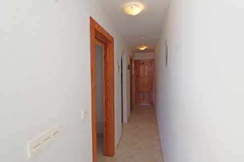 Appartamento in vendita a Rincon De Loix, Alicante, Spagna 1 camera, N° 183543 - foto 12