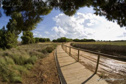 Villa for sale Torrevieja, Alicante, Spain 3 bedrooms, 141.56 sq.m. No. 108828 - photo 6