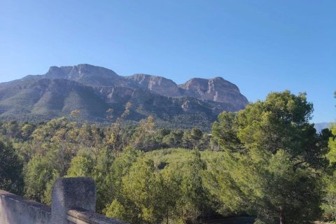 Villa zum Verkauf in La Nucia, Alicante, Spanien 14 Schlafzimmer, 1000 m2 Nr. 180281 - Foto 23