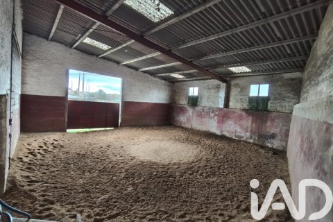 House for sale in Salamanca, Spain 450 sq.m. No. 185273 - photo 8