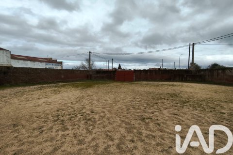 House in Salamanca, Spain 450 sq.m. No. 185273