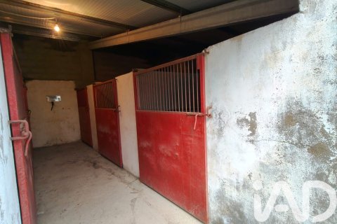 House for sale in Salamanca, Spain 450 sq.m. No. 185273 - photo 14