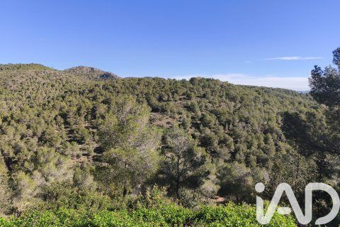 Parcela en venta en La Bisbal Del Penedes, Tarragona, España 636 m2 No. 185272 - foto 10