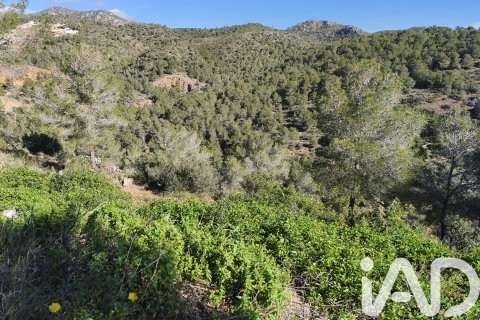 Parcela en venta en La Bisbal Del Penedes, Tarragona, España 636 m2 No. 185272 - foto 4