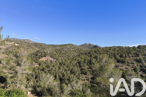 Parcela en venta en La Bisbal Del Penedes, Tarragona, España 636 m2 No. 185272 - foto 16