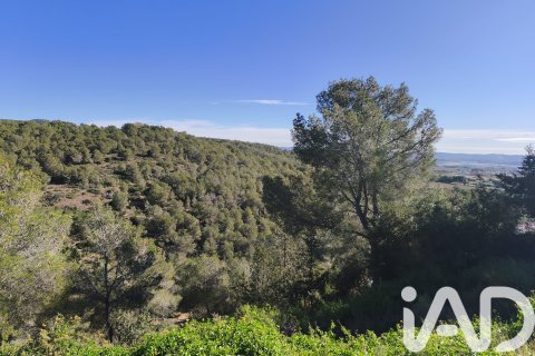Parcela en venta en La Bisbal Del Penedes, Tarragona, España 636 m2 No. 185272 - foto 11