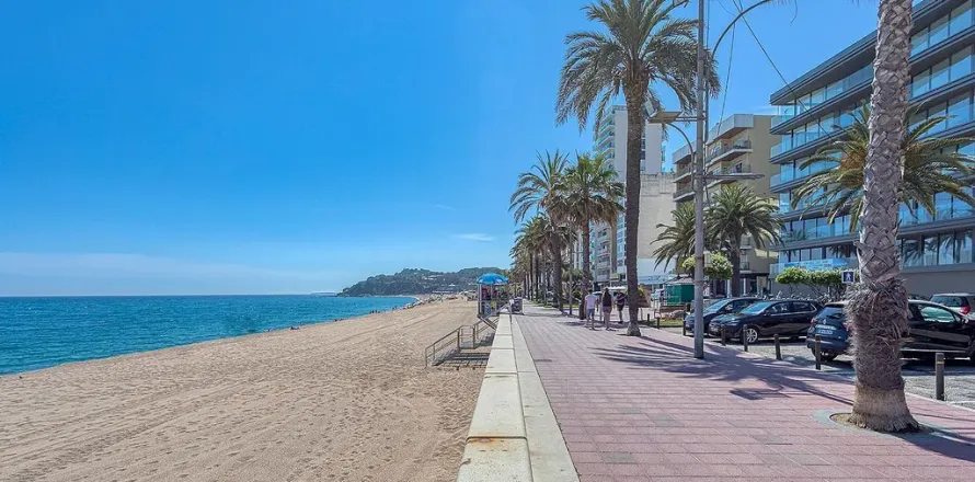 Apartment à Lloret de Mar, Girona, Espagne 3 chambres, No. 141264