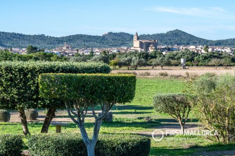 Finca myytävänä Porreres, Mallorca, Espanja, 4 makuuhuonetta, 412 m2 No. 196354 - kuva 19